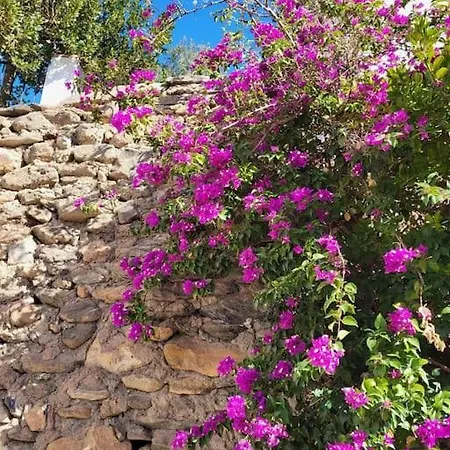 Casa Blanca, Acequias, Lecrin Valley, Holiday home