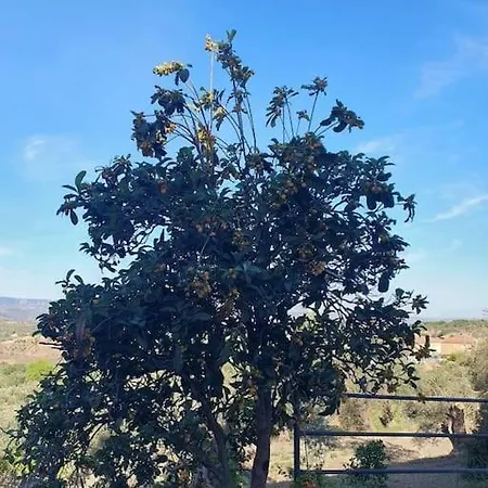 Holiday home Casa Blanca, Acequias, Lecrin Valley, *